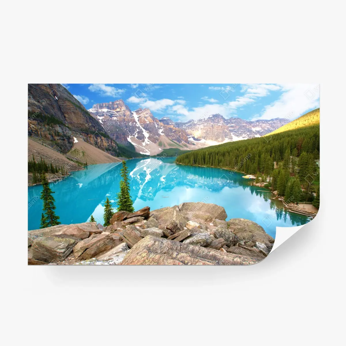 Fototapete türkisblauer bergsee mit kiefernwald – Pixers®