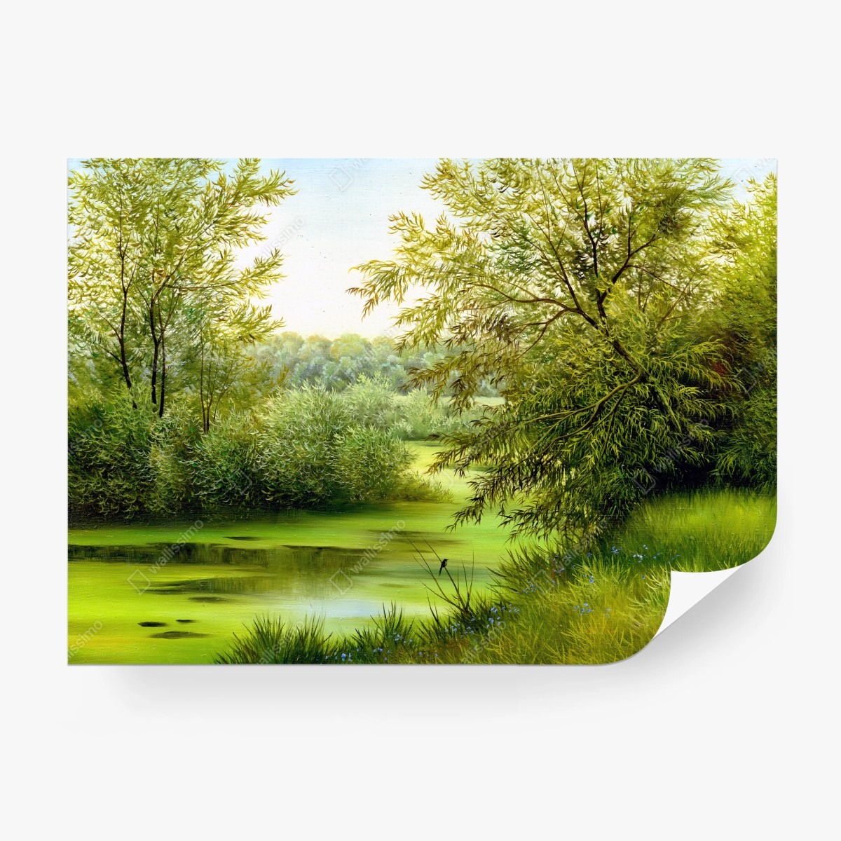 Fototapete friedlicher sommersee im wald – Pixers®