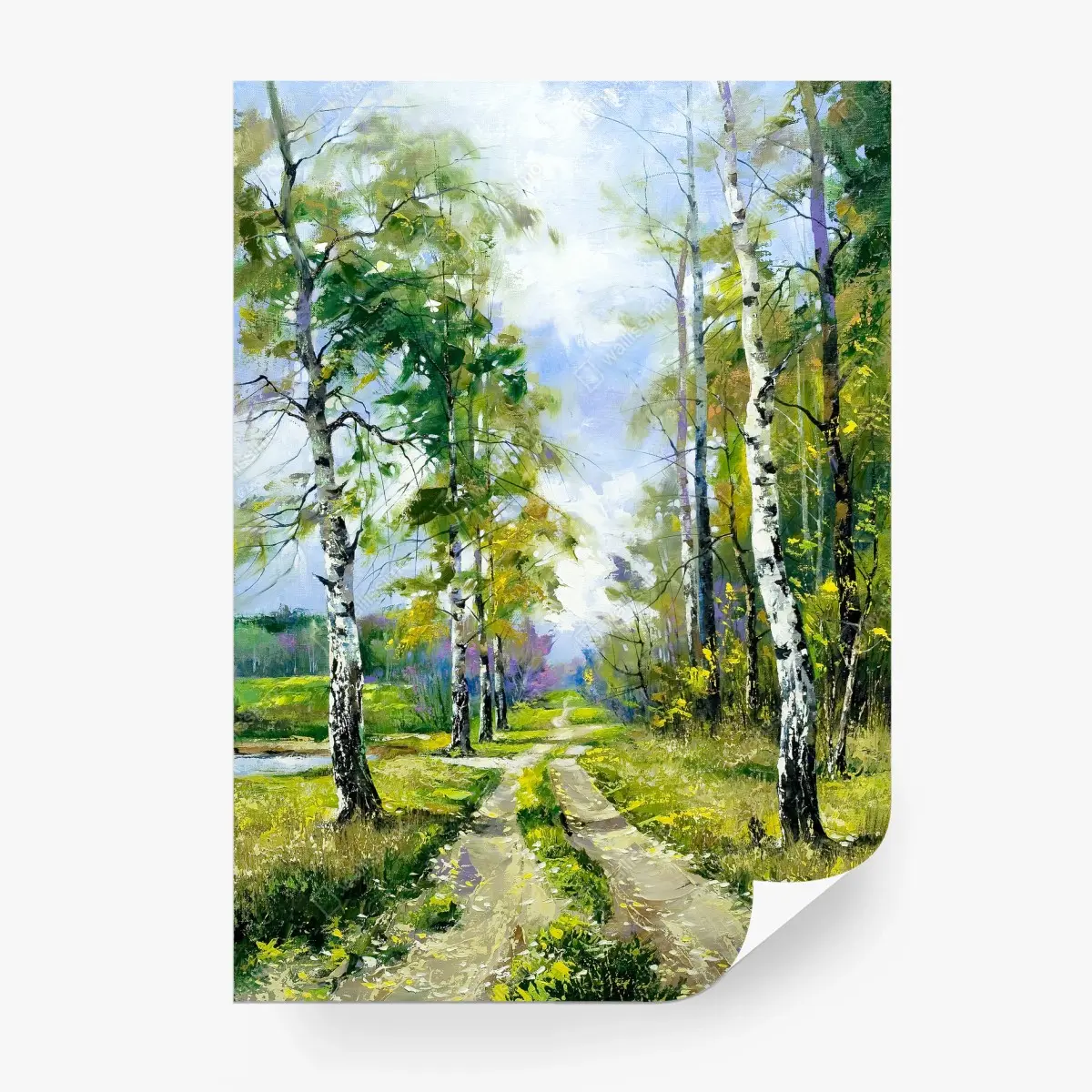 Fototapete frühlingsweg im birkenwald – Pixers®