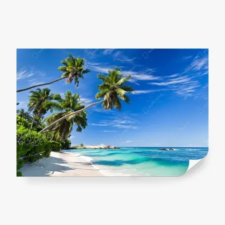 Fototapete tropischer palmenstrand – Pixers®