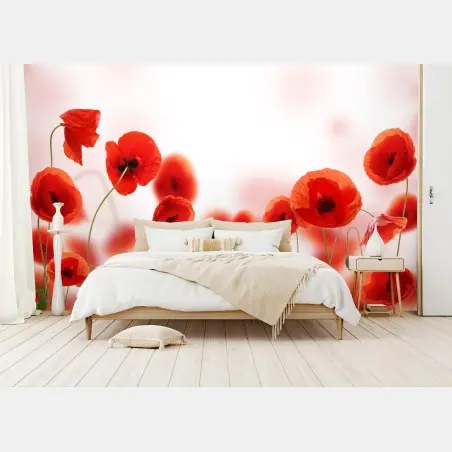 Fototapete rote mohnblumenwiese – Pixers®