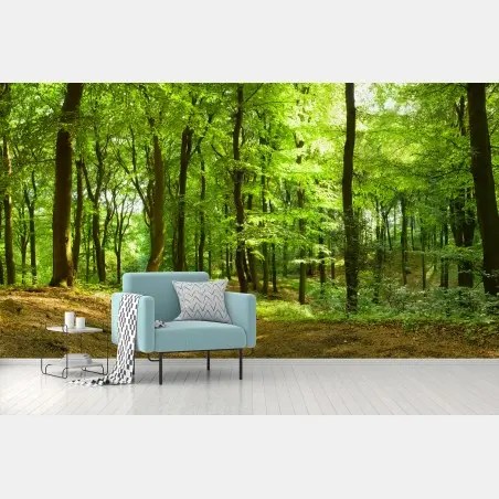 Fototapete ruhiger grüner waldweg – Pixers®