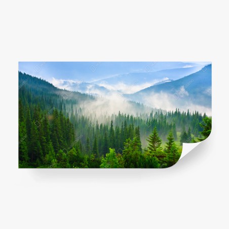 Fototapete nebel über grünen bergen der Karpaten – Pixers®