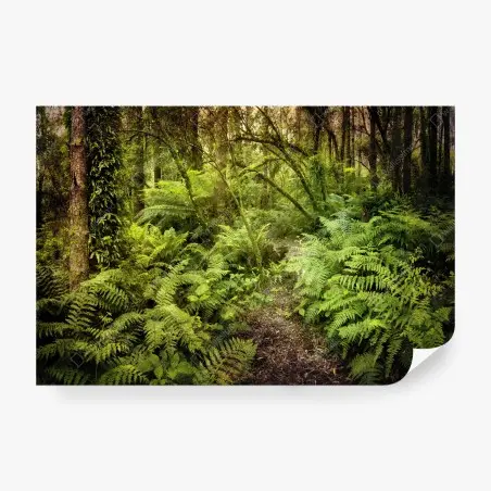 Fototapete geheimnisvoller farnpfad im regenwald – Pixers®