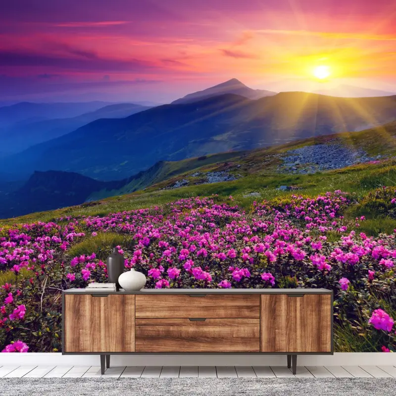 Fototapete rosa rhododendren am berghang bei sonnenaufgang