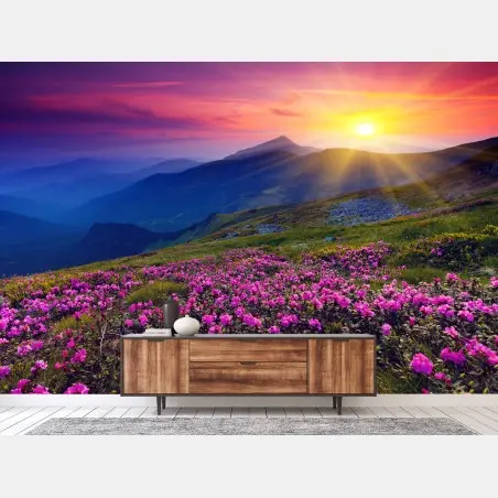 Fototapete rosa rhododendren am berghang bei sonnenaufgang – Pixers®