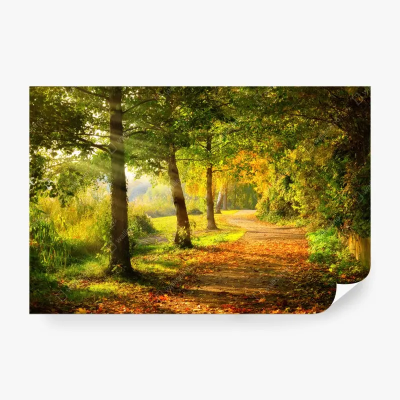Fototapete herbstlicher parkweg im goldenen sonnenlicht