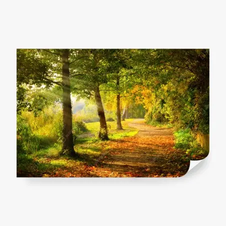 Fototapete herbstlicher parkweg im goldenen sonnenlicht – Pixers®