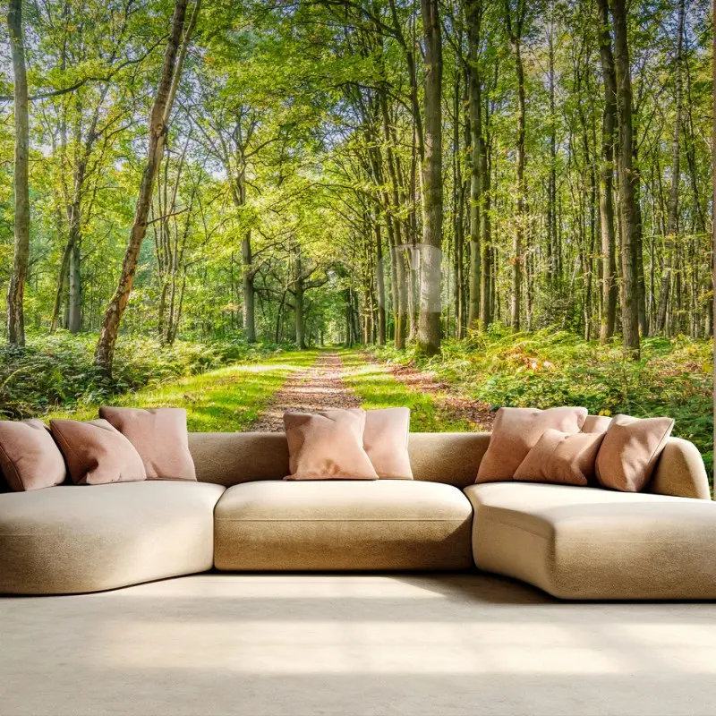 Fototapete sonniger waldweg