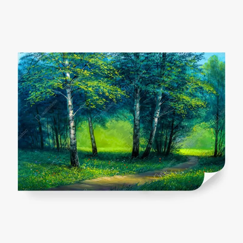 Fototapete sonnenbeleuchteter birkenweg im sommerwald
