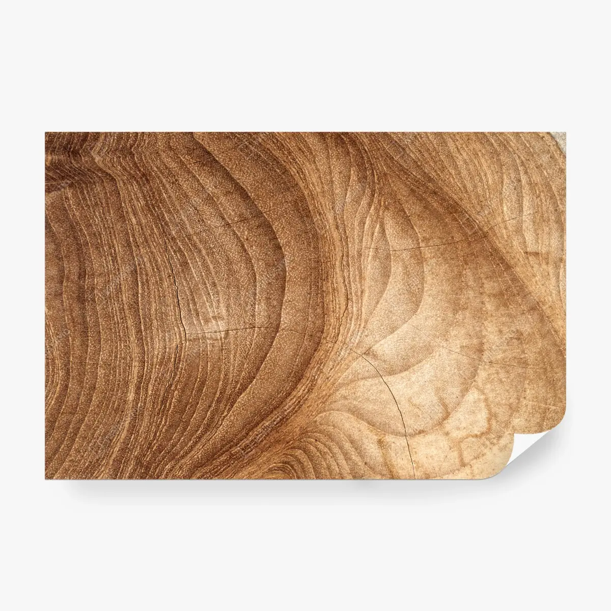 Fototapete natürliches holzmaserungsmuster – Pixers®