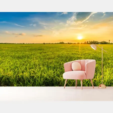 Fototapete goldener sonnenuntergang über grüner wiese – Pixers®