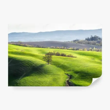 Fototapete Toskana grüne hügel – Pixers®