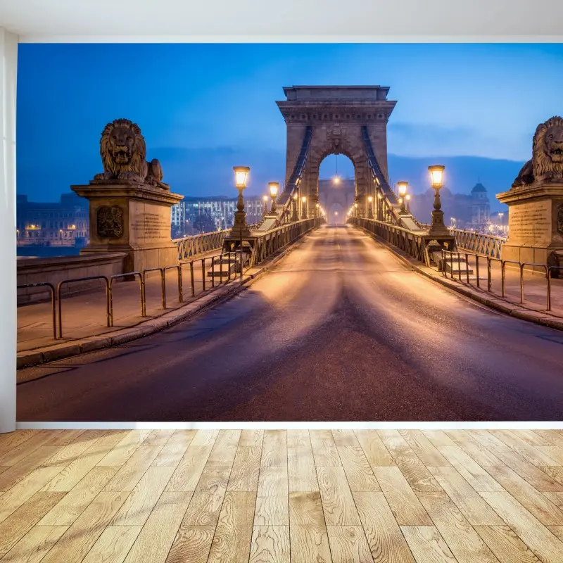 Fototapete Budapest kettenbrücke bei dämmerung