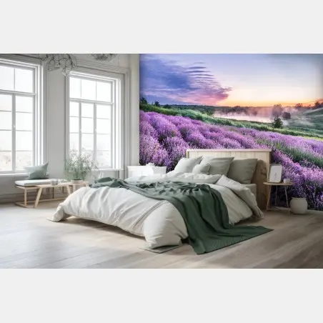 Fototapete lavendelfeld im dämmerlicht – Pixers®