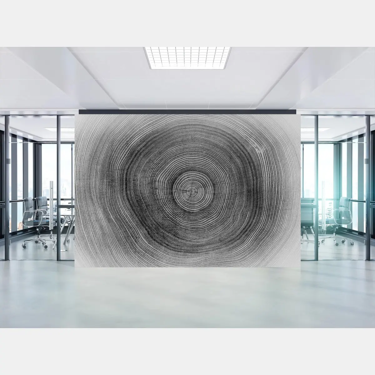Fototapete monochrome baumringe textur – Pixers®