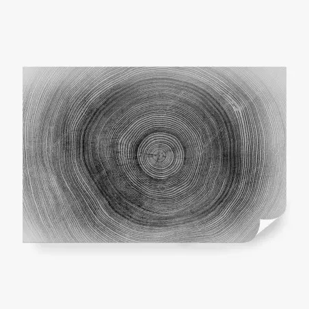 Fototapete monochrome baumringe textur – Pixers®