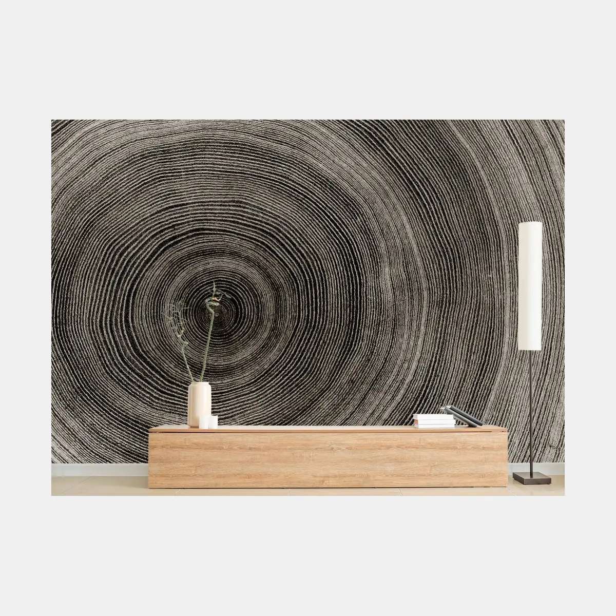 Fototapete konzentrische baumringe holzstruktur – Pixers®