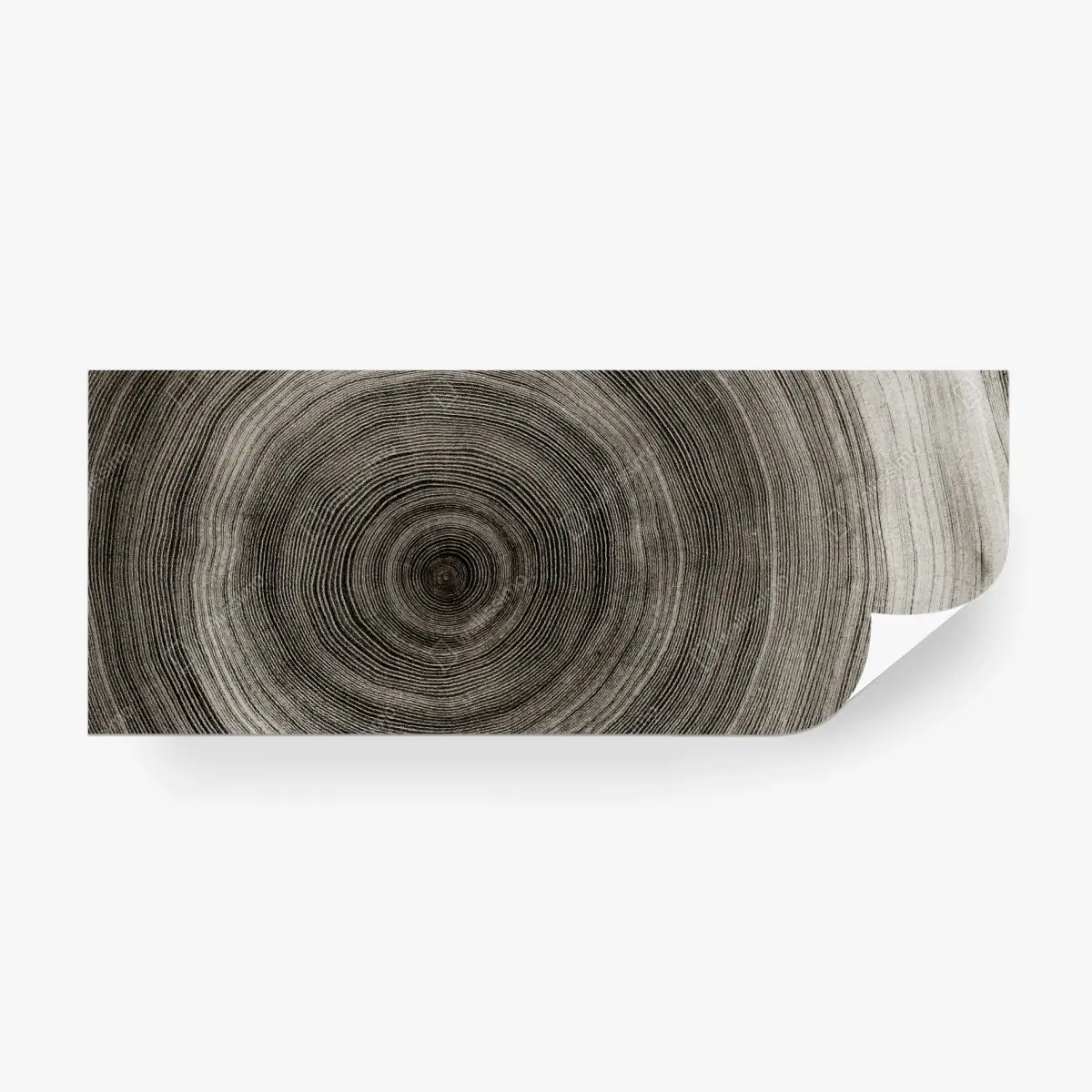 Fototapete konzentrische baumringe holzstruktur – Pixers®