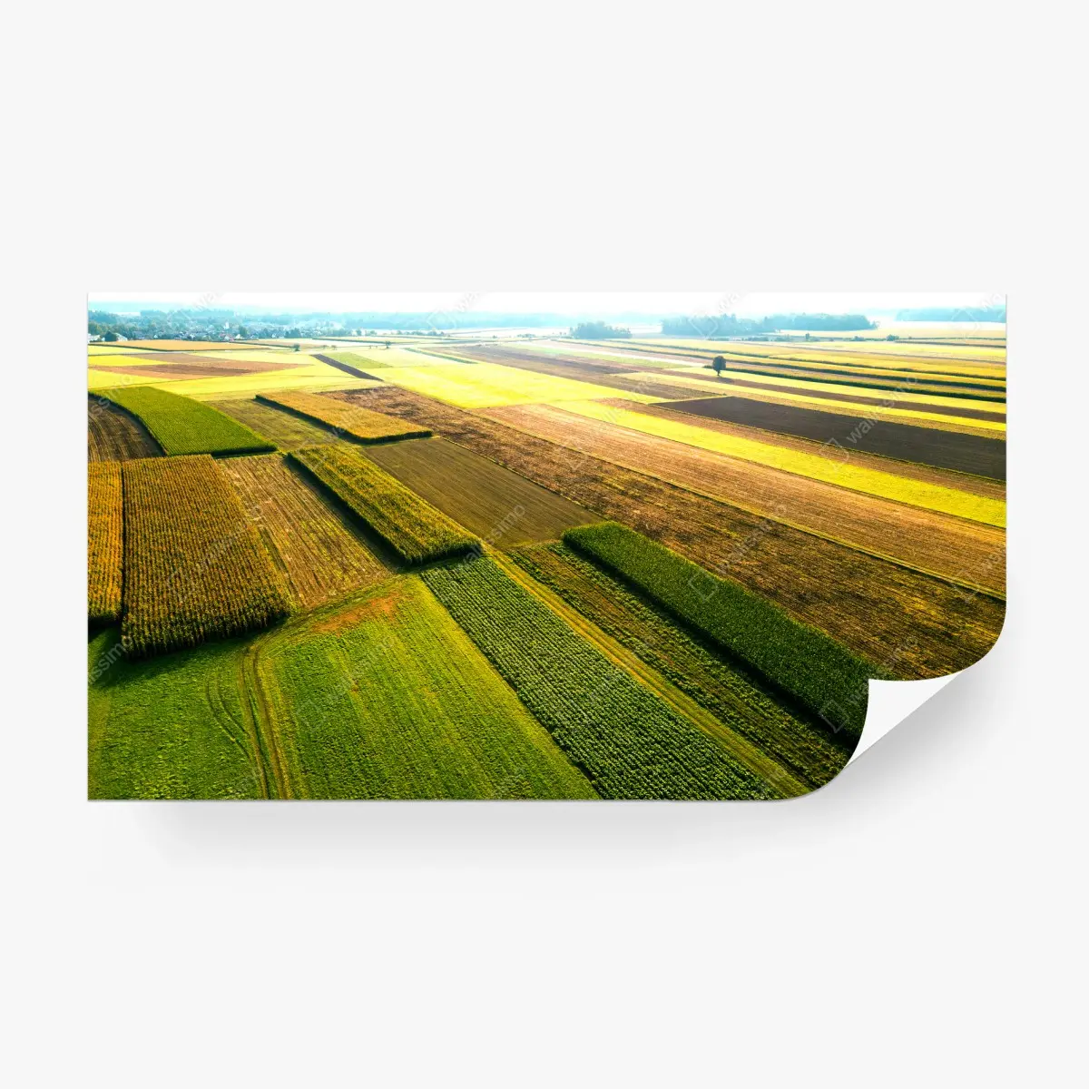 Fototapete bunte luftaufnahme von ackerland – Pixers®