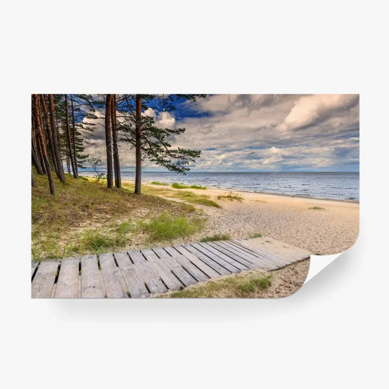 Fototapete ruhiger kiefernstrand am meer