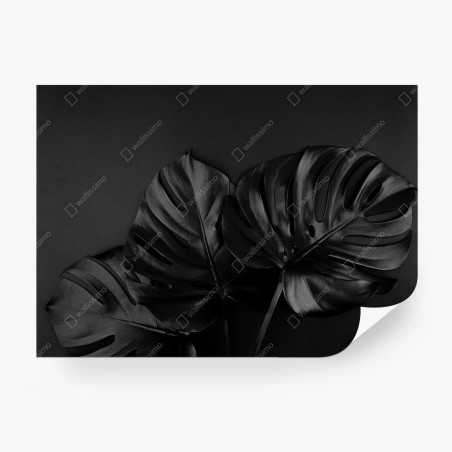 Fototapete schwarze monstera-blätter auf dunklem hintergrund – Pixers®