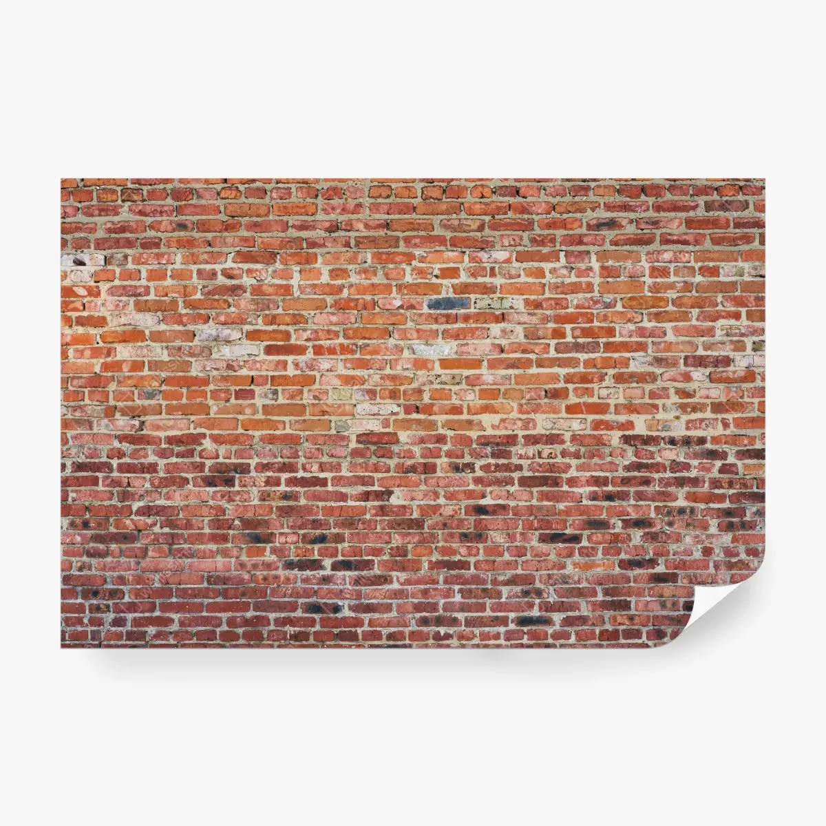 Fototapete freigelegte rote ziegelwand – Pixers®