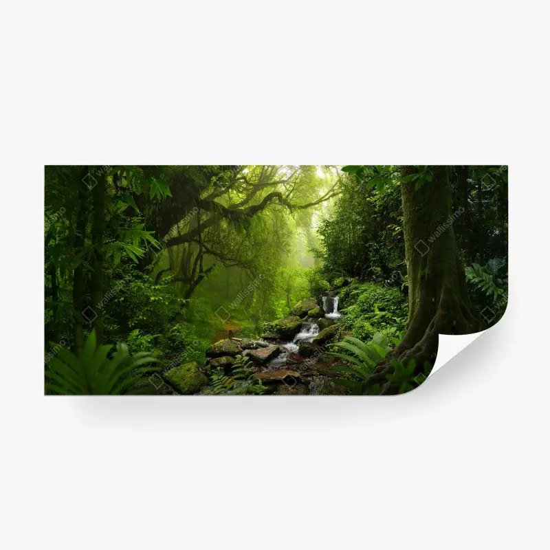 Fototapete ruhiger wasserfall im regenwald