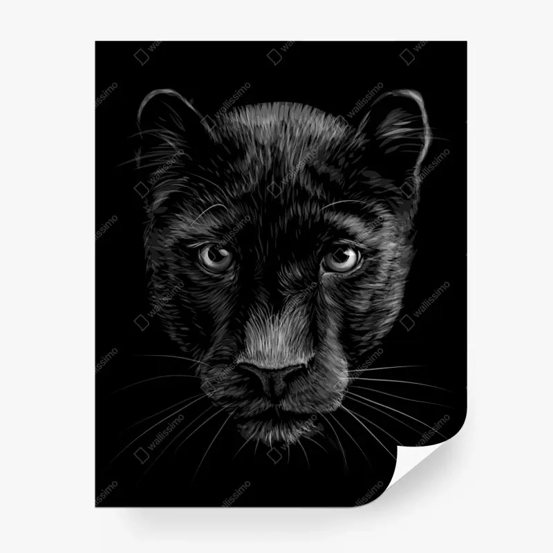 Fototapete porträt eines schwarzen panthers