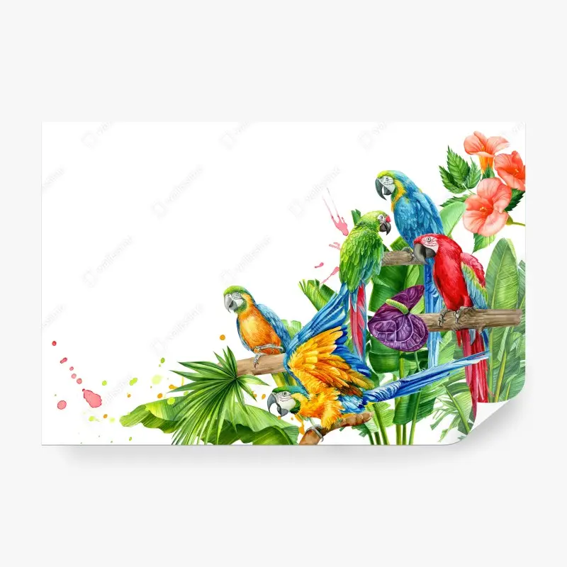 Fototapete farbenfrohe tropische aras illustration