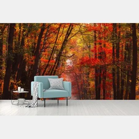 Fototapete goldener herbstwaldweg – Pixers®