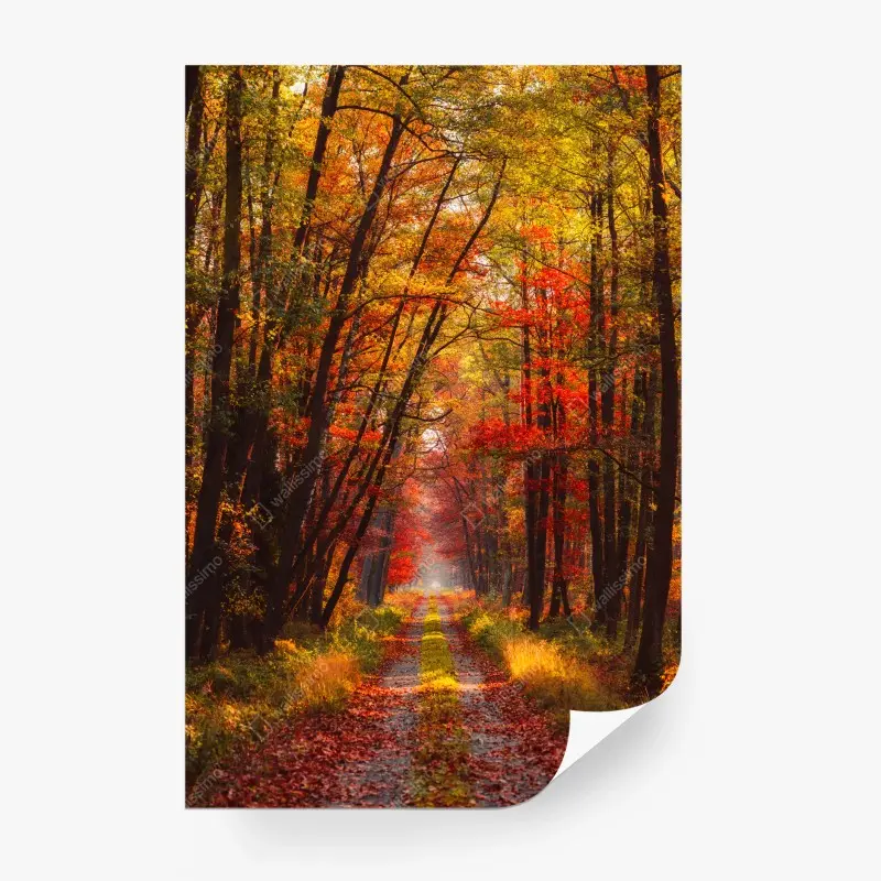 Fototapete goldener herbstwaldweg