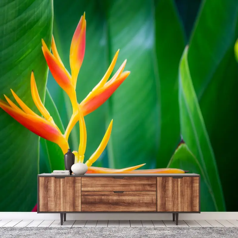 Fototapete lebhafte tropische heliconia-blüte