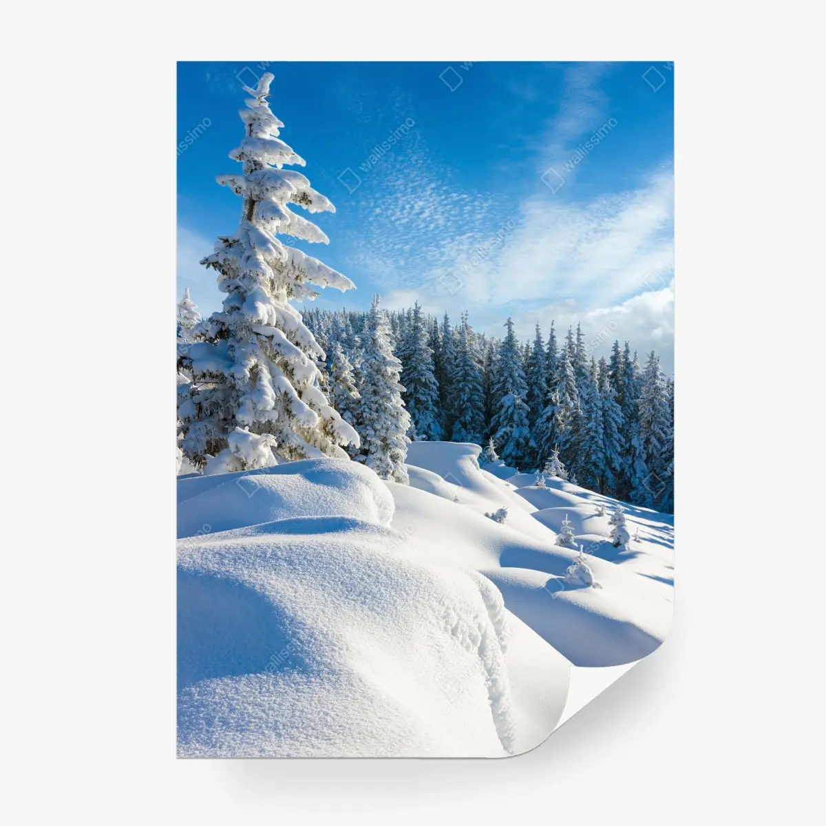 Fototapete ruhiger wintermorgen in den Karpaten – Pixers®