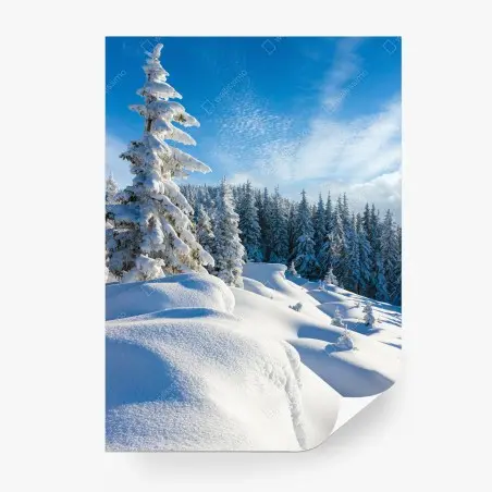 Fototapete ruhiger wintermorgen in den Karpaten – Pixers®