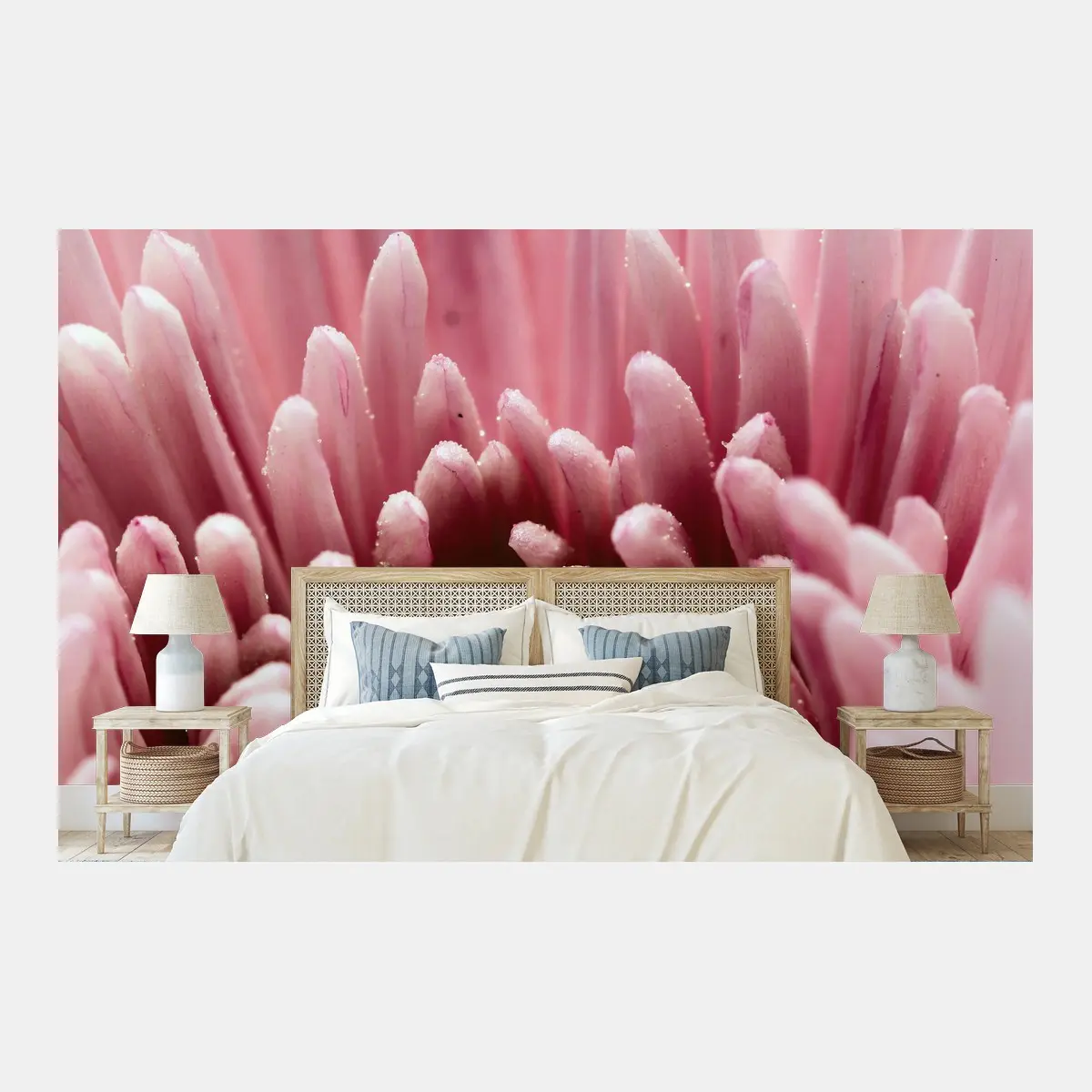 Fototapete zarte rosa nahaufnahme einer chrysantheme – Pixers®