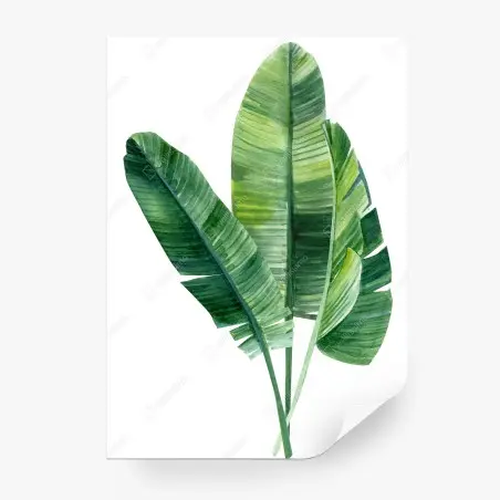 Fototapete tropische bananenblätter aquarell – Pixers®