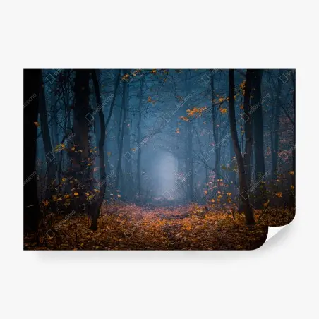 Fototapete mystischer herbstlicher waldweg – Pixers®