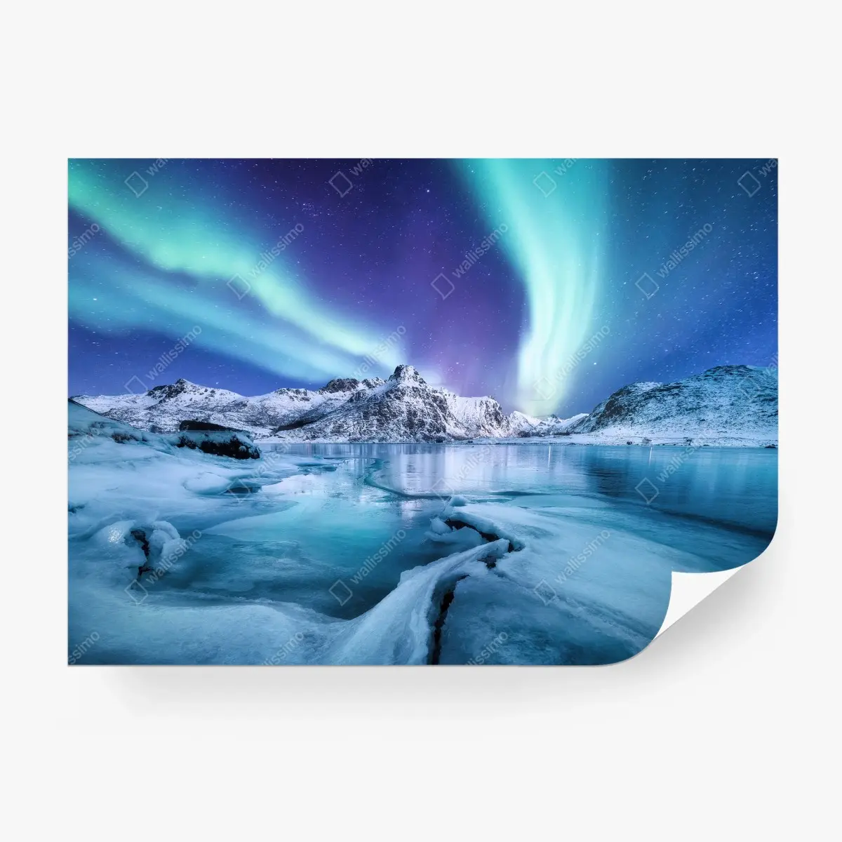 Fototapete nordlicht über Lofoten, Norwegen – Pixers®