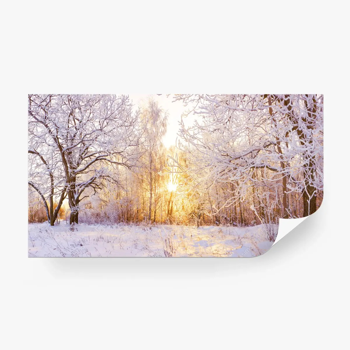 Fototapete verschneiter winterwald bei sonnenaufgang panorama – Pixers®