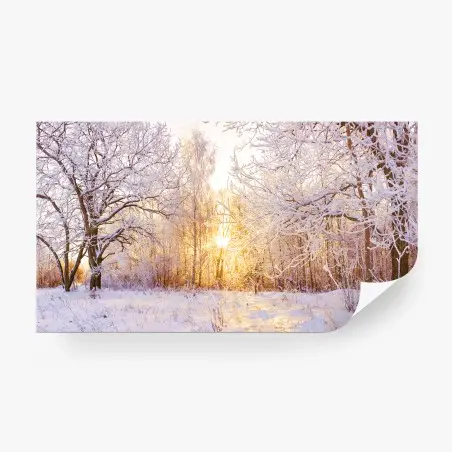 Fototapete verschneiter winterwald bei sonnenaufgang panorama – Pixers®