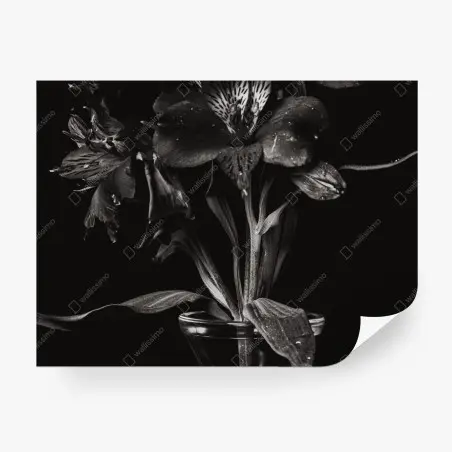 Fototapete monochrome blumenstudie in glasvase – Pixers®