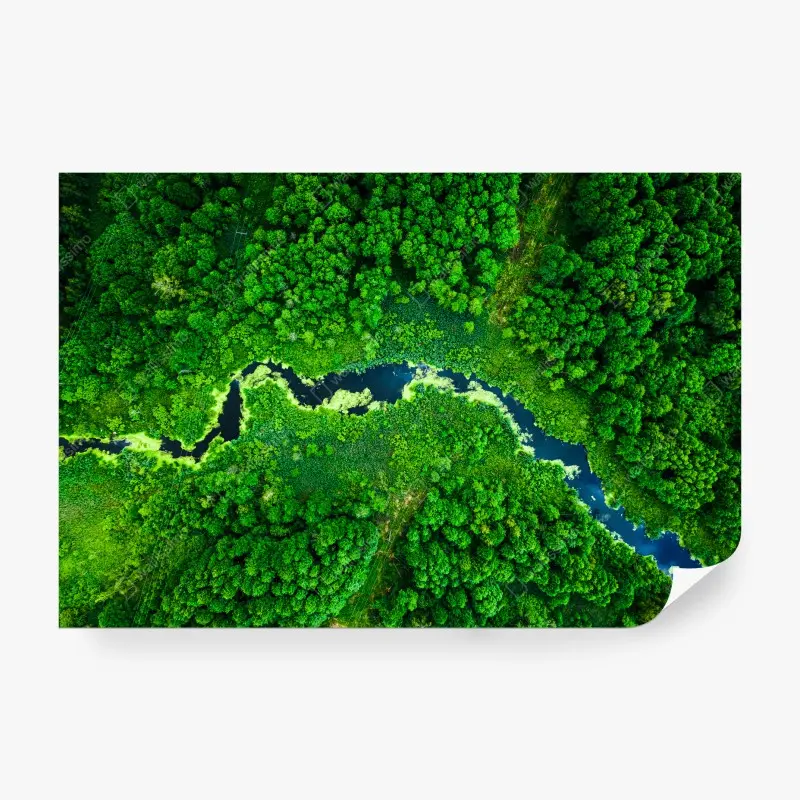Fototapete üppiger fluss durch grünen wald aus der luft