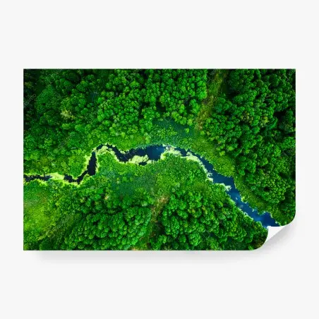 Fototapete üppiger fluss durch grünen wald aus der luft – Pixers®