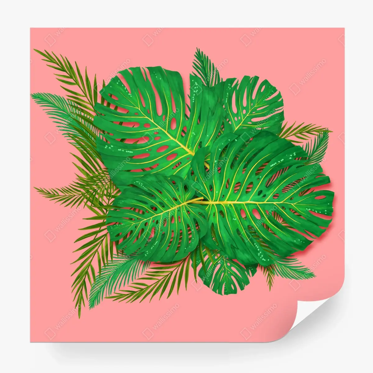 Fototapete monstera- und palmblätter vor rosa hintergrund – Pixers®
