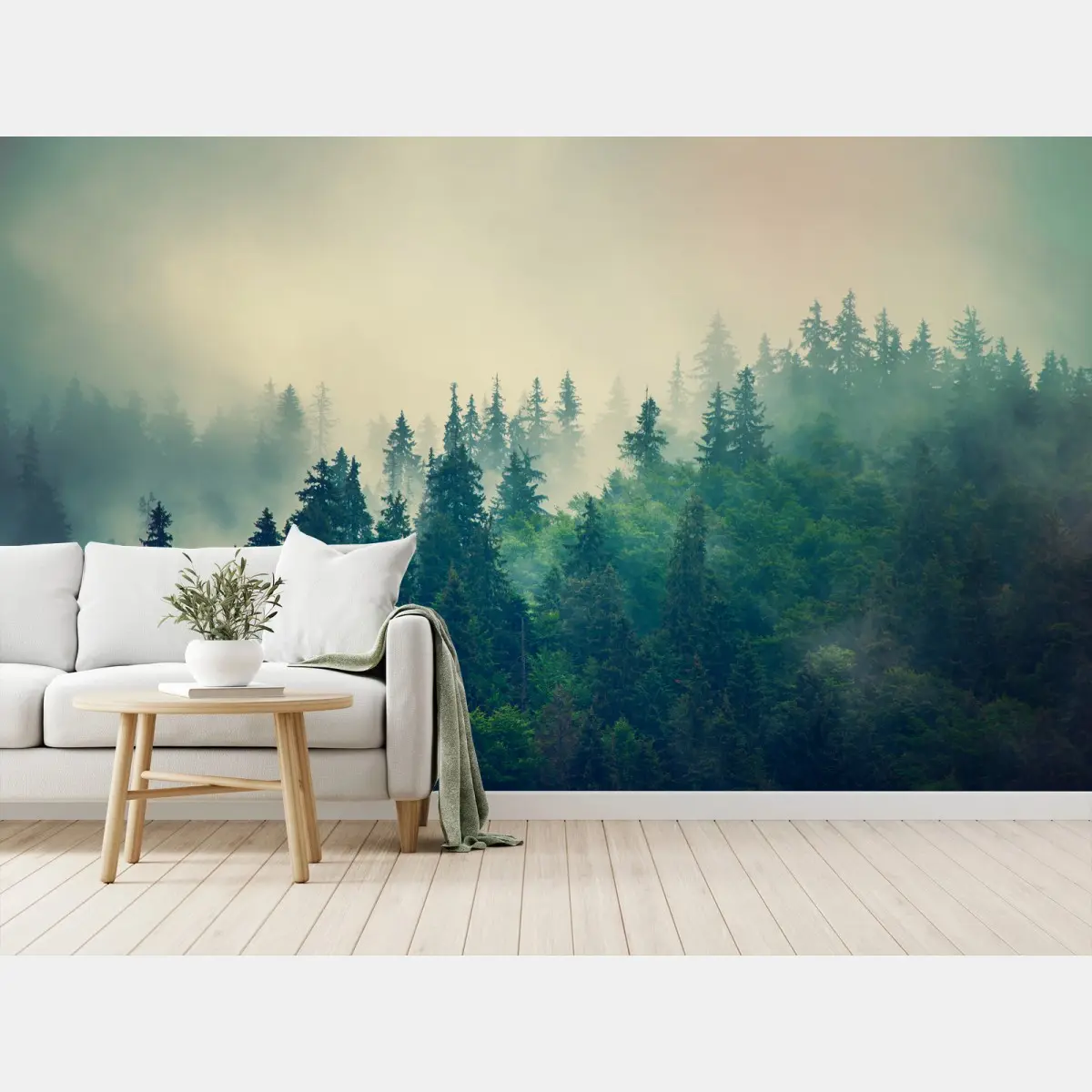 Fototapete nebliger nadelwald am morgen – Pixers®
