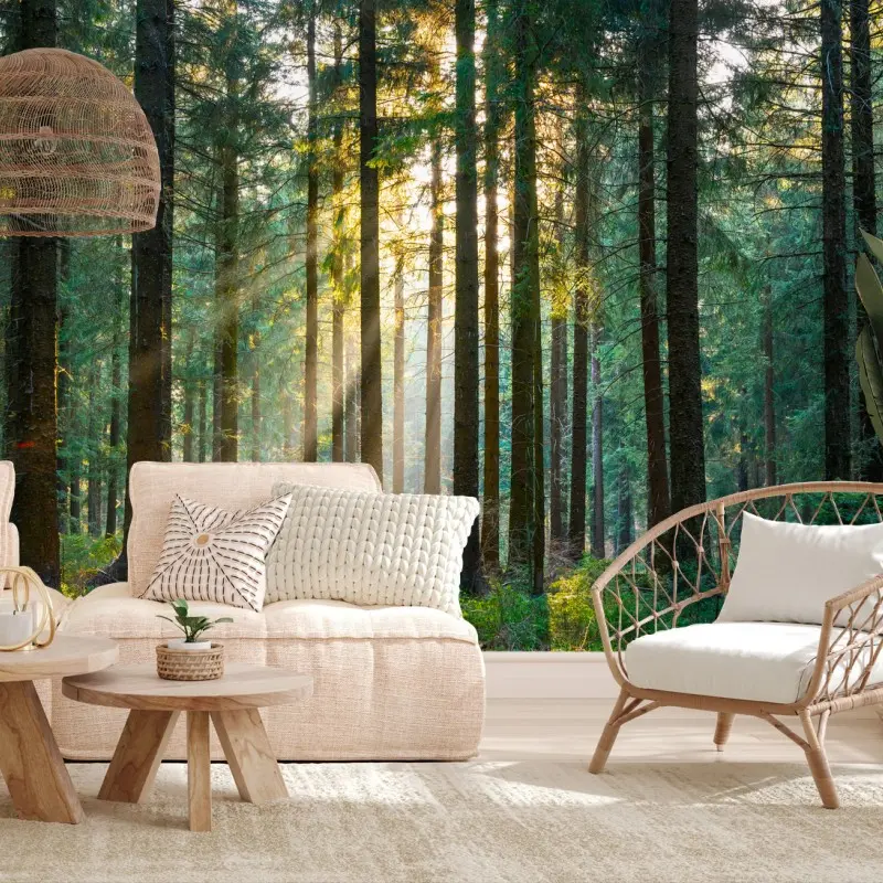 Fototapete stiller wald im sonnenlicht