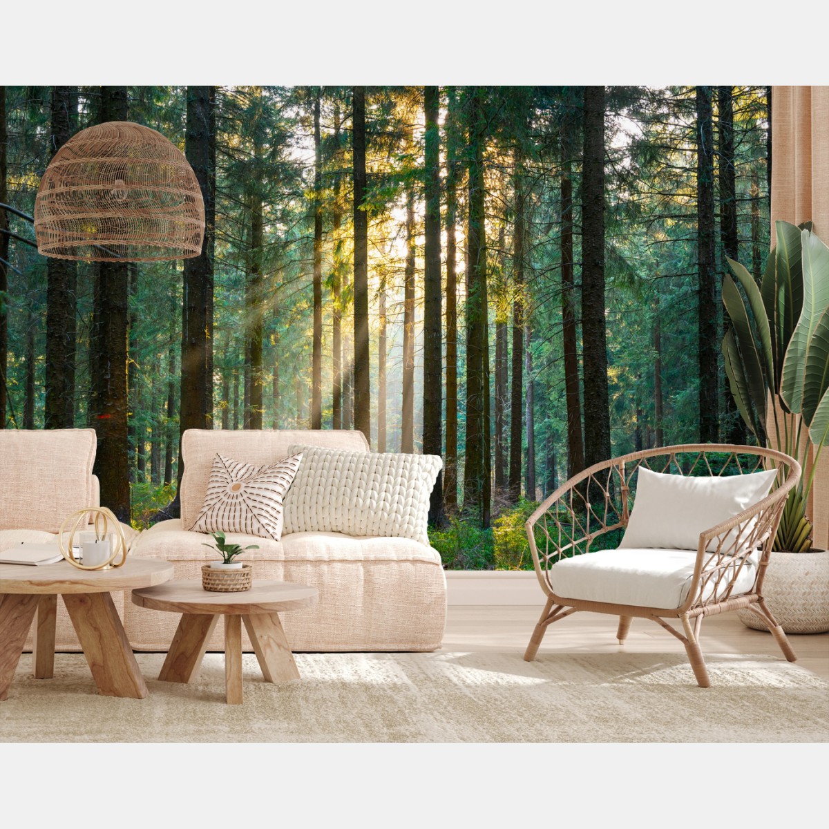 Fototapete stiller wald im sonnenlicht – Pixers®