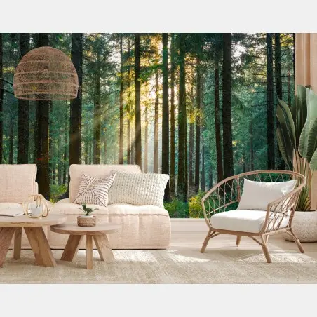 Fototapete stiller wald im sonnenlicht – Pixers®