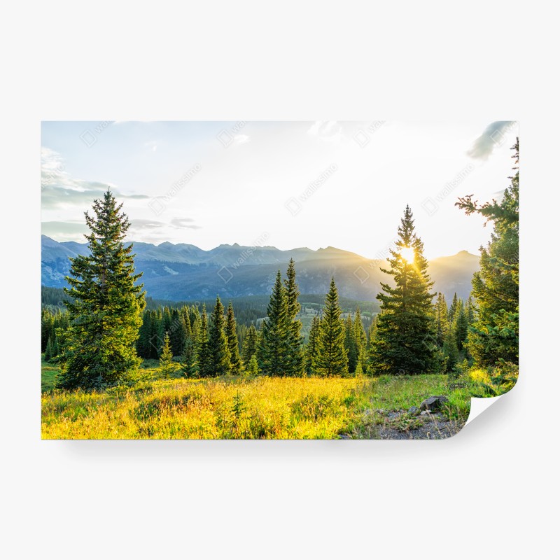 Fototapete sonnige bergwiese bei sonnenaufgang